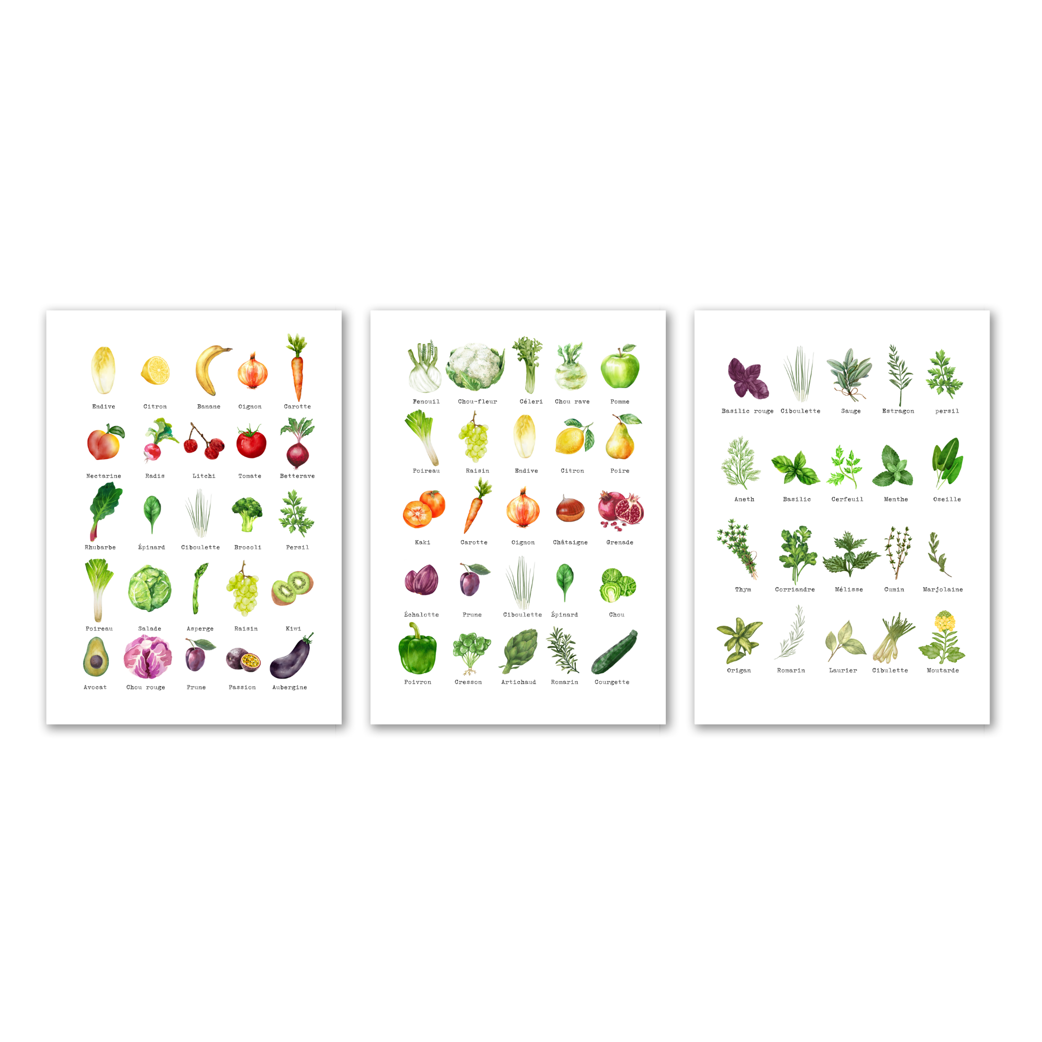 Aromatiques - 3 Affiches