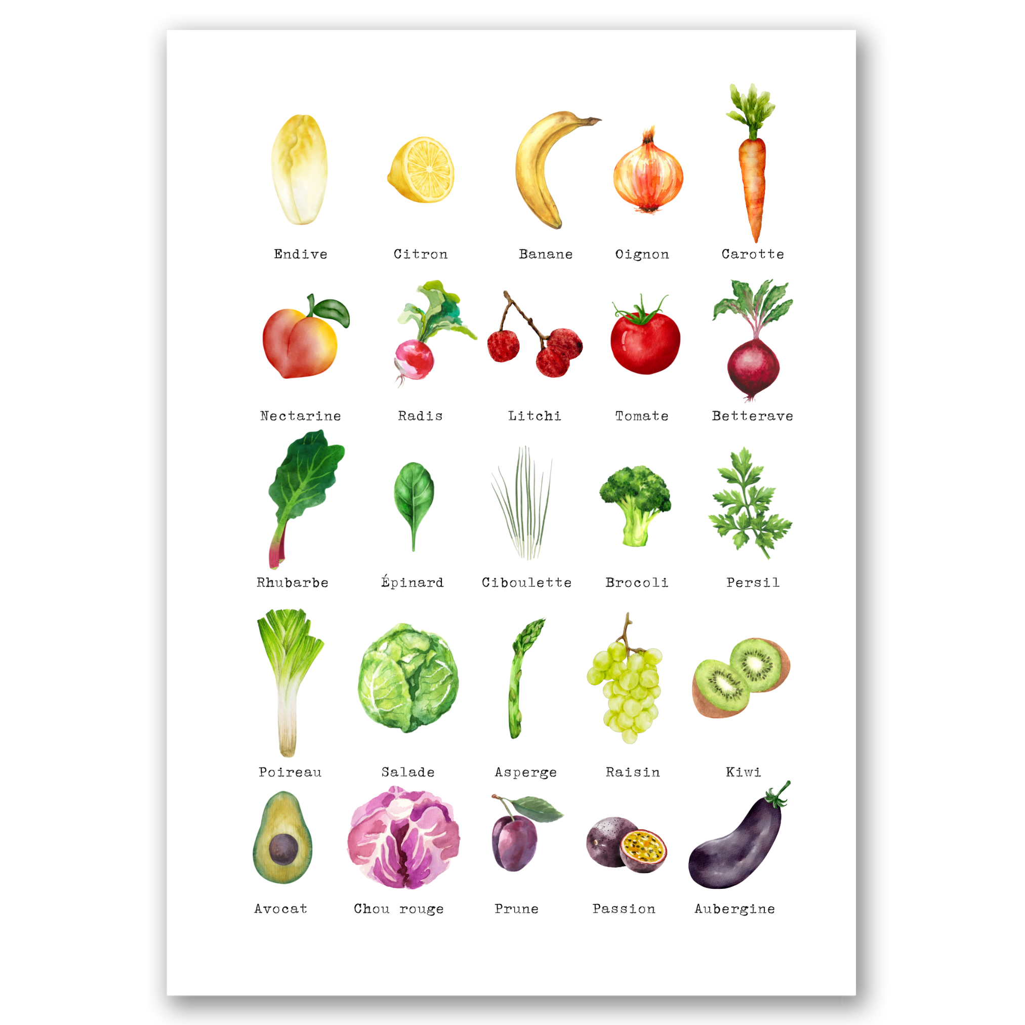 Aromatiques - 3 Affiches