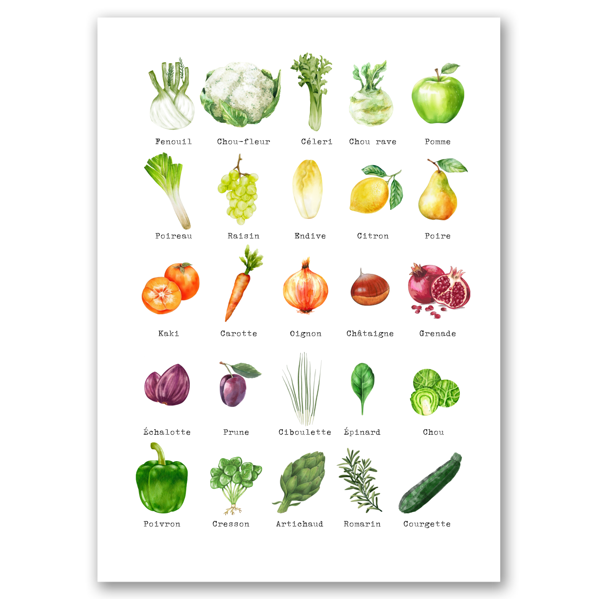 Aromatiques - 3 Affiches