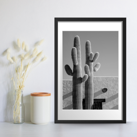 AFFICHE - CACTUS