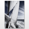 AFFICHE - Voiles