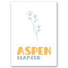 AFFICHE - Aspen