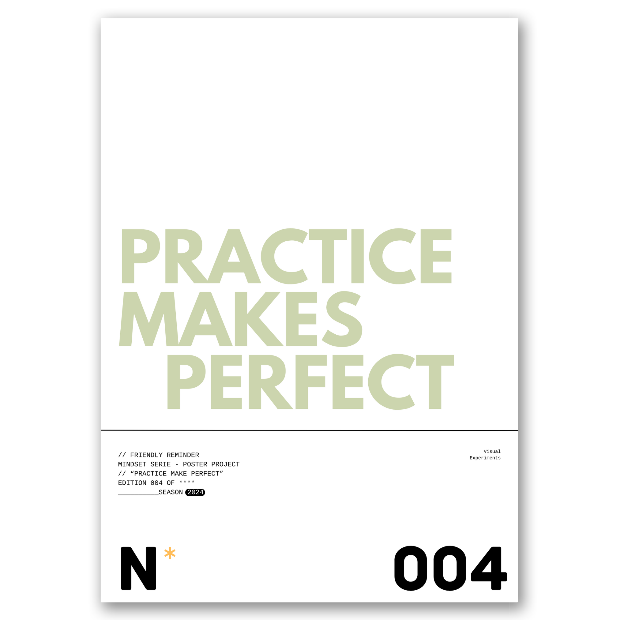 N°4 - Poster Project