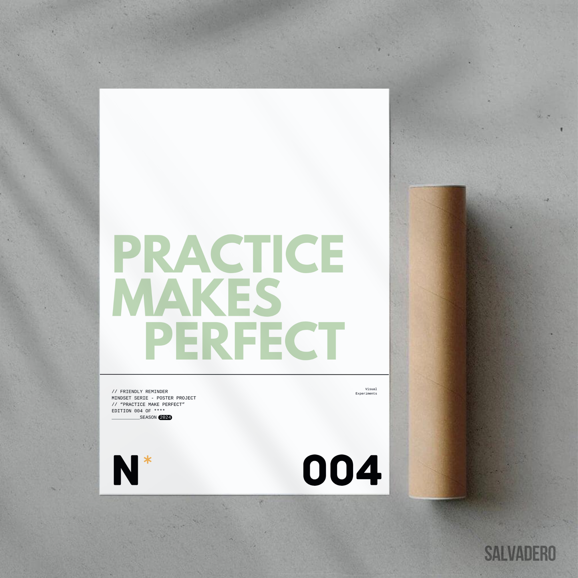 N°4 - Poster Project
