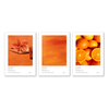 Orange - Pack de 3 affiches