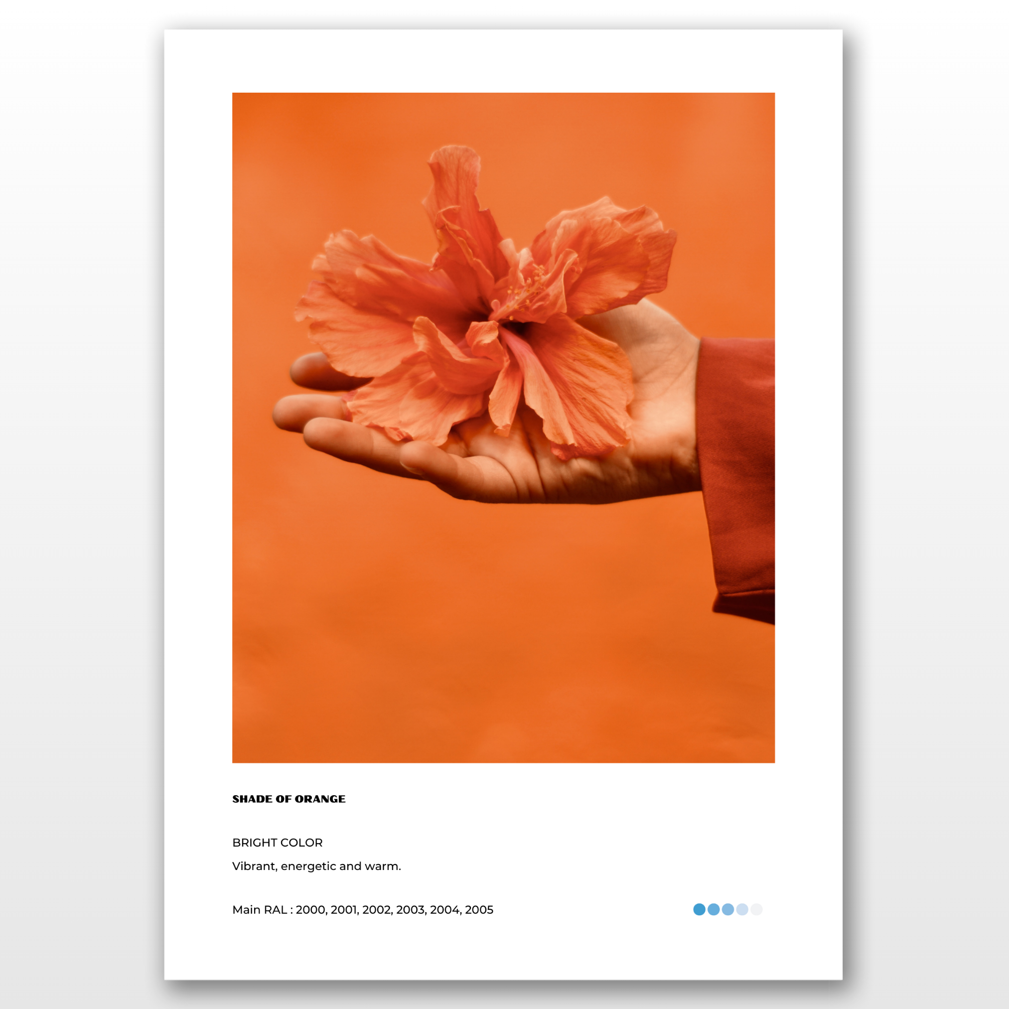 Orange - Pack de 3 affiches